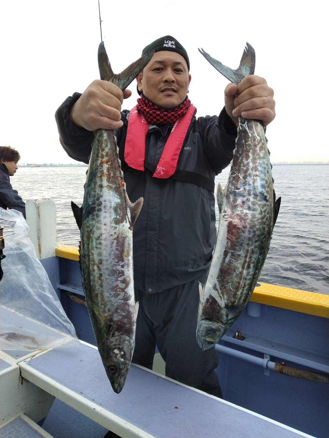 サワラ（ルアー青物五目乗合船） | クロダイ、沖提、ルアータチウオ船